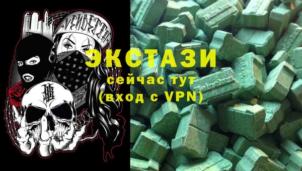 МДПВ Ельня
