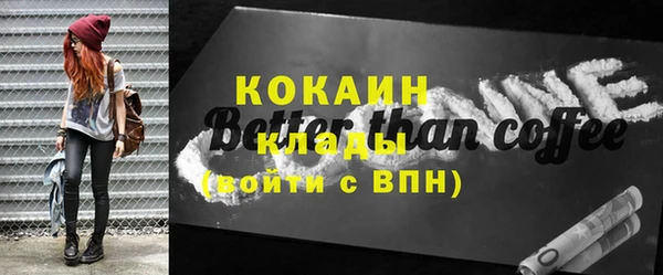 СК Елизово