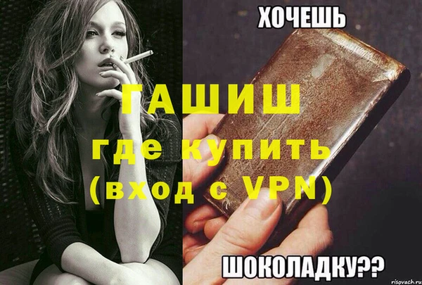 СК Елизово