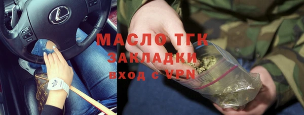 МДПВ Ельня