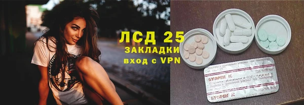 МДПВ Ельня