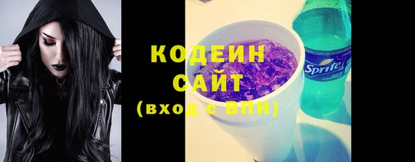 МДПВ Ельня