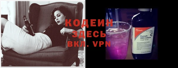 МДПВ Ельня