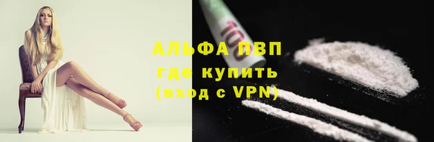 МДПВ Ельня
