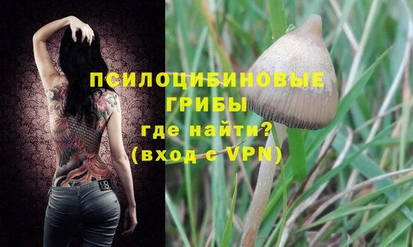 СК Елизово