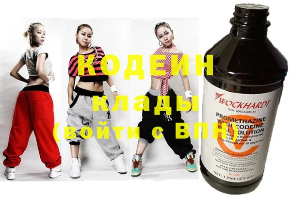 СК Елизово