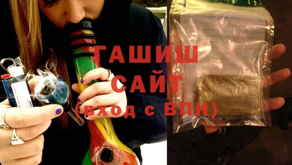 СК Елизово