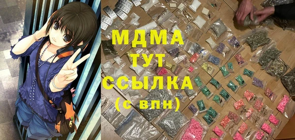 МДПВ Ельня