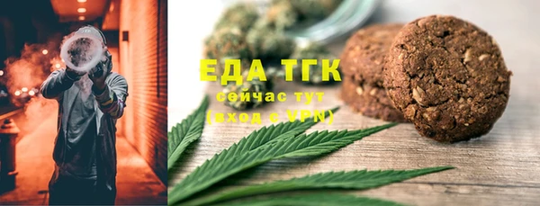 МДПВ Ельня