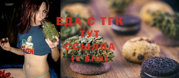 МДПВ Ельня