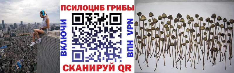 Псилоцибиновые грибы мицелий  Купить где  Краснотурьинск 